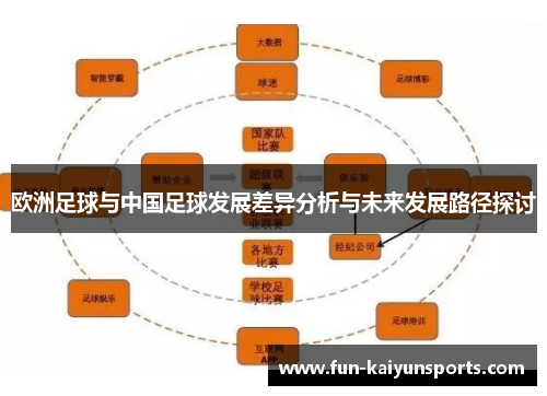 欧洲足球与中国足球发展差异分析与未来发展路径探讨
